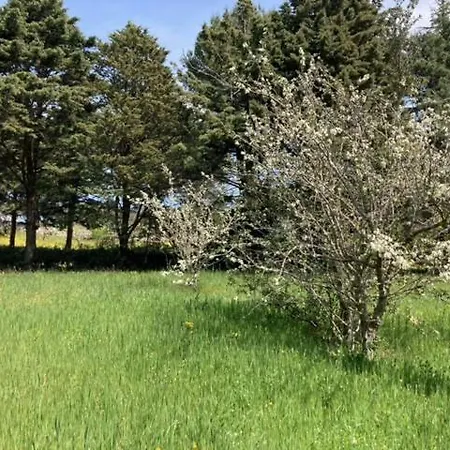 Villa Anna *